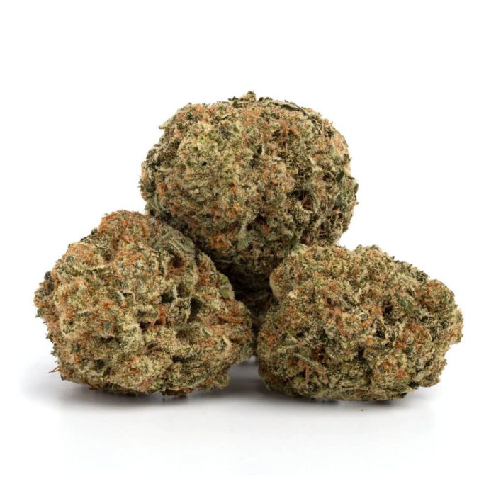 Blueberry Pie Strain - Image 2