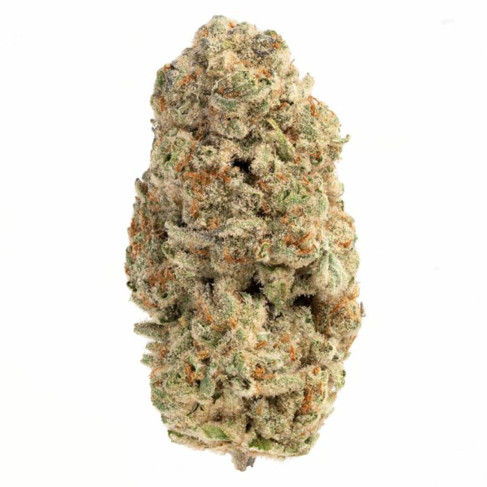 Crescendo Strain